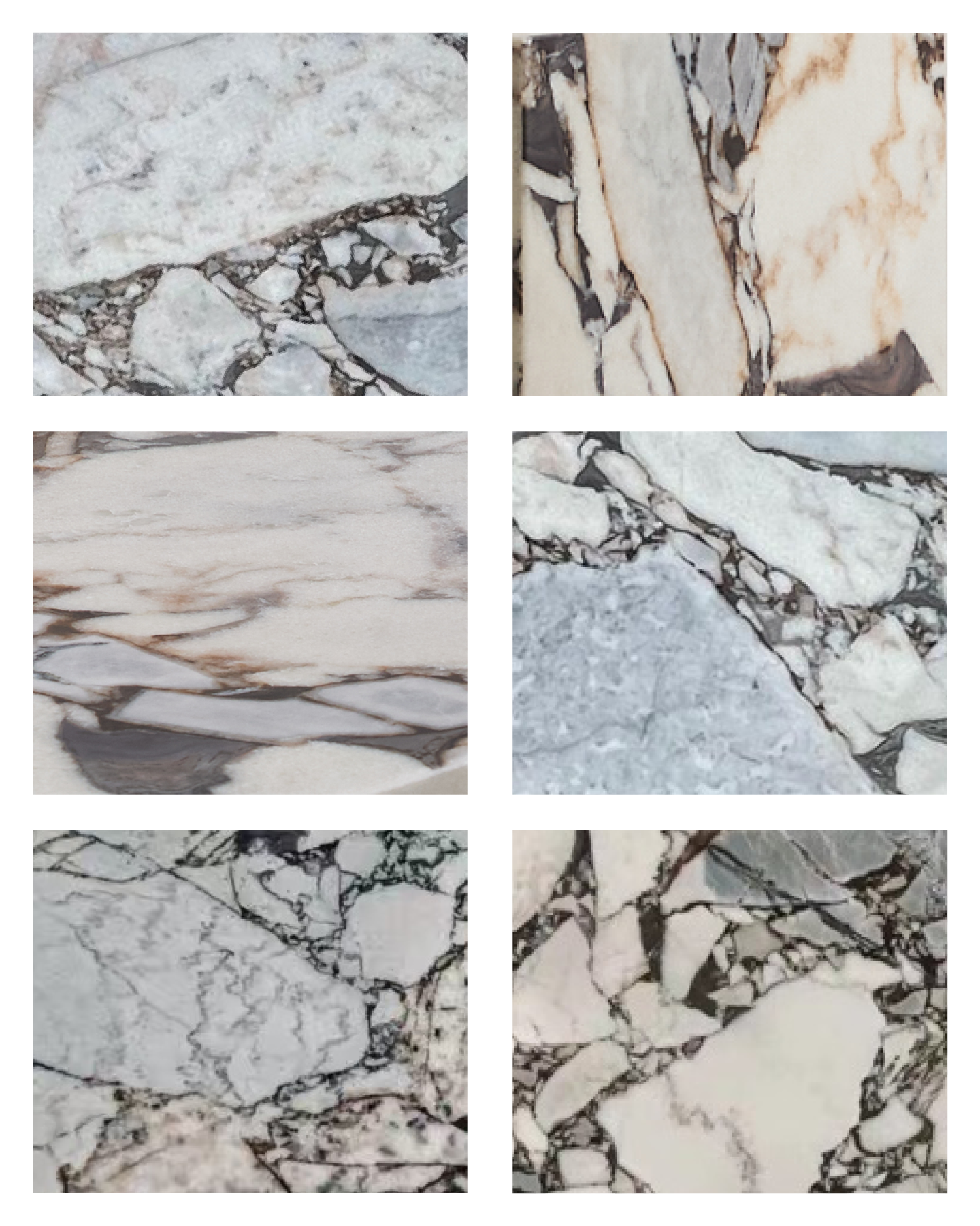 Petite Palm Calacatta Nero